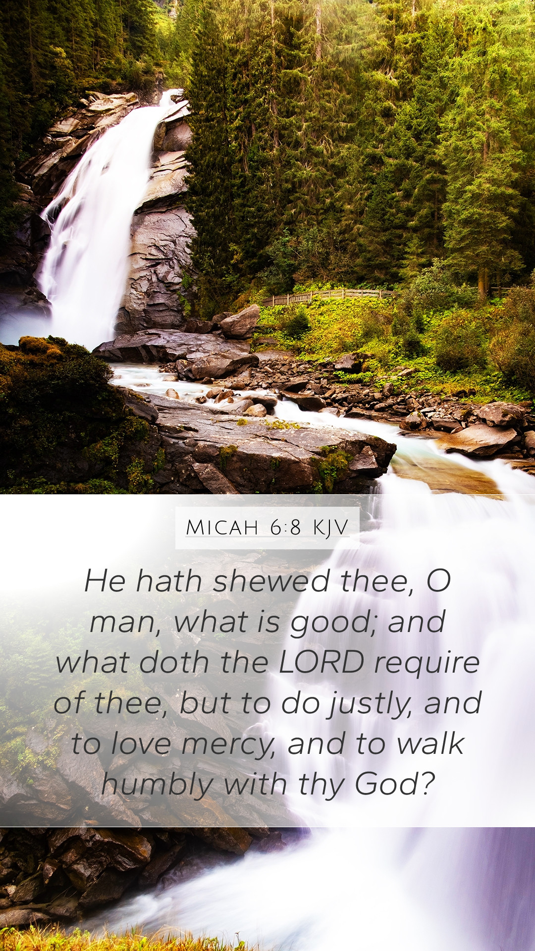 Micah 6:8 KJV