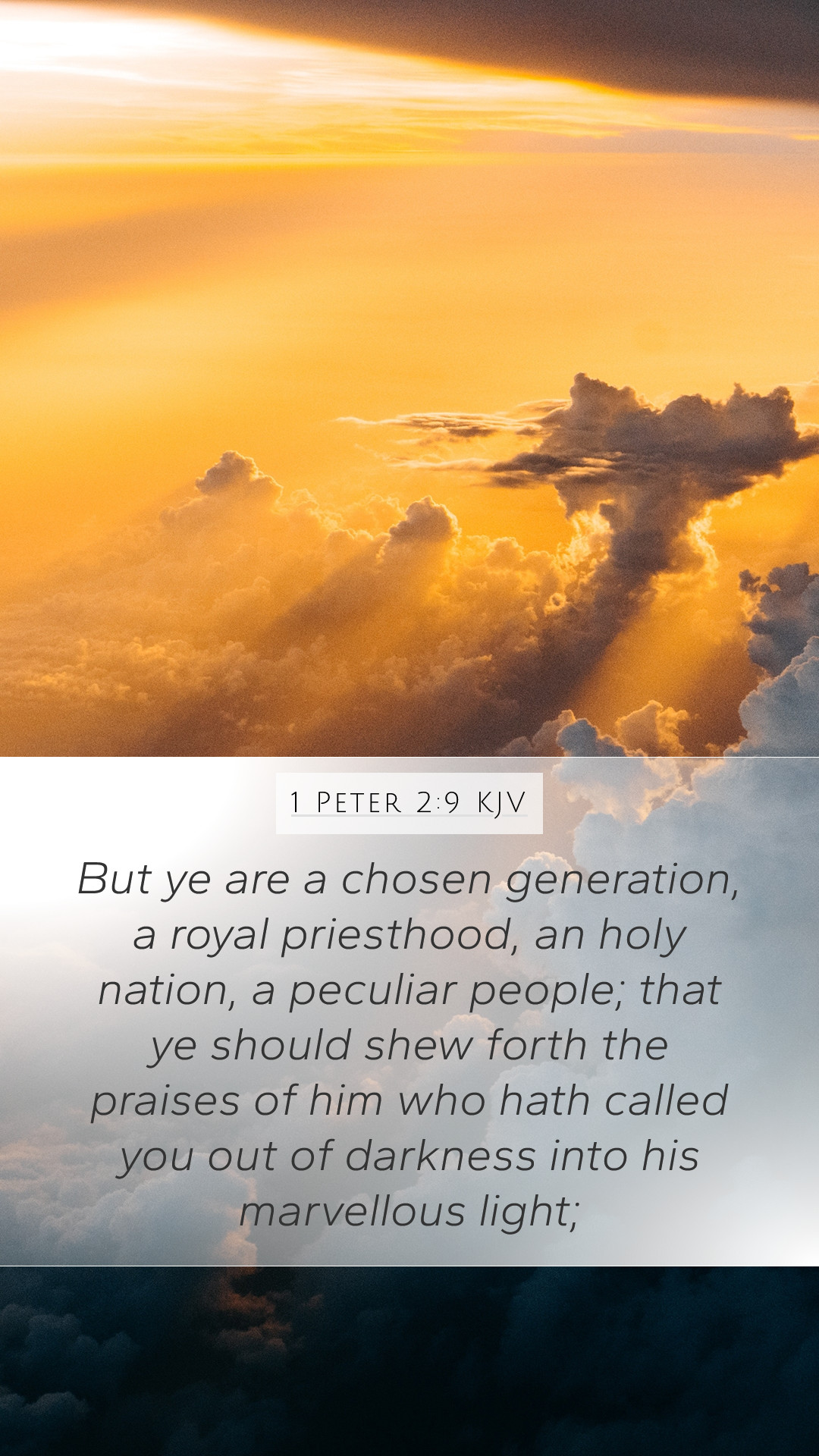 1 Peter 2:9 KJV