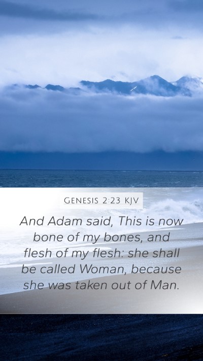 Genesis 2:23 Explained