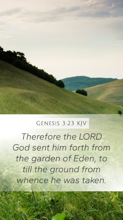 Genesis 3:23 Explained