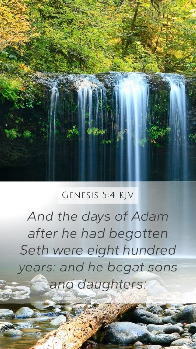 Genesis 5:4 Explained