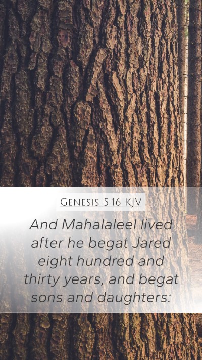 Genesis 5:16 Explained