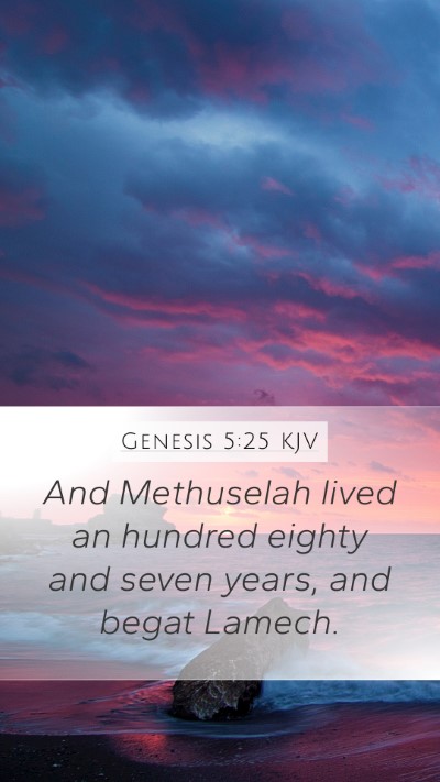 Genesis 5:25 Explained