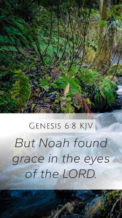 Genesis 6:8 Explained