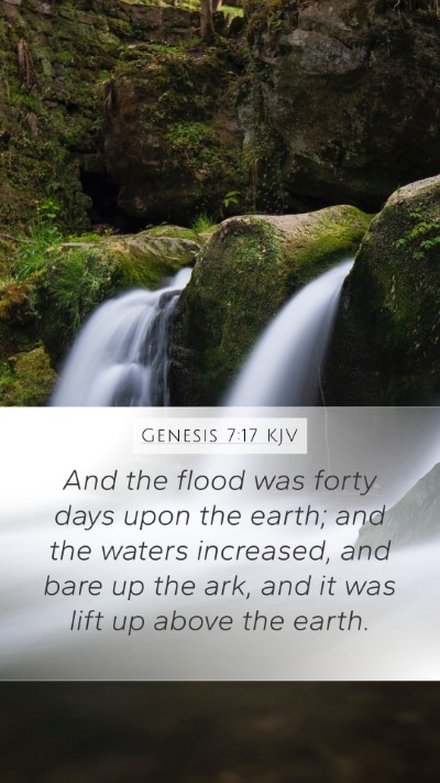 Genesis 7:17 Explained