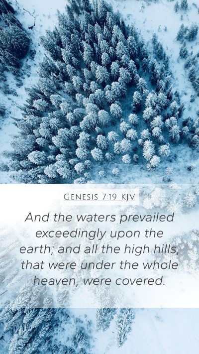 Genesis 7:19 Explained