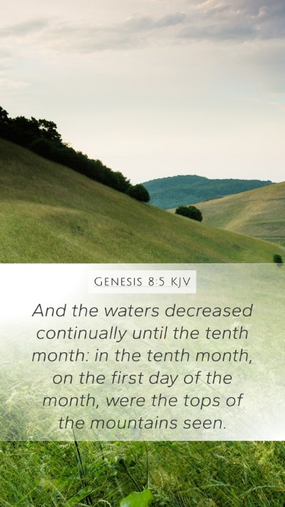 Genesis 8:5 Explained