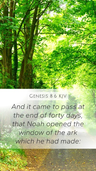 Genesis 8:6 Explained