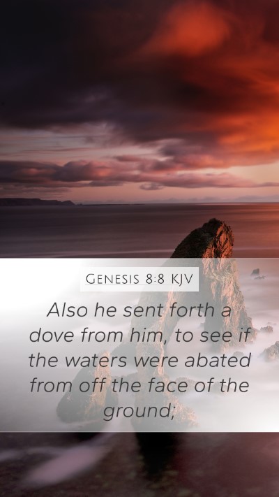 Genesis 8:8 Explained