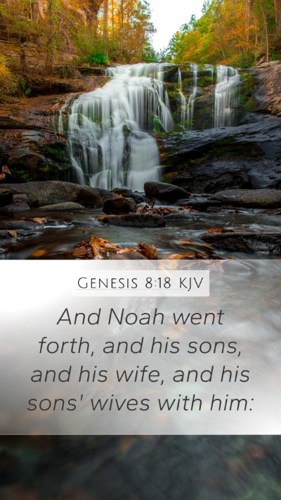 Genesis 8:18 Explained