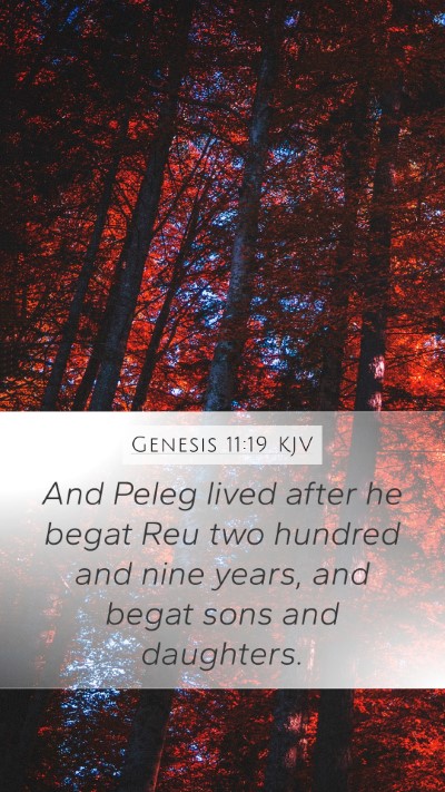 Genesis 11:19 Explained