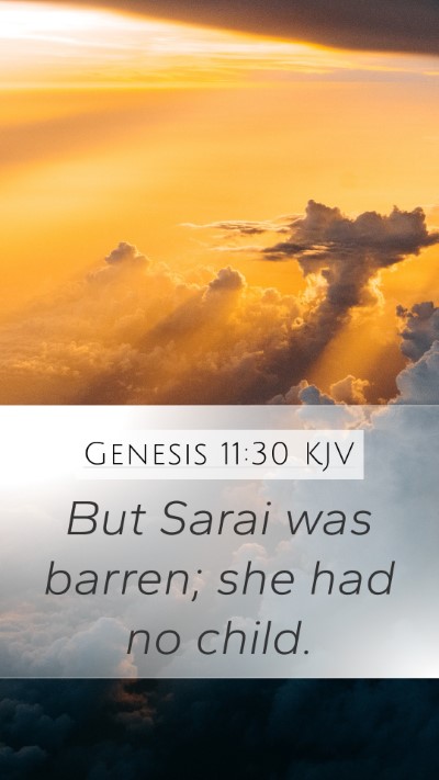 Genesis 11:30 Explained