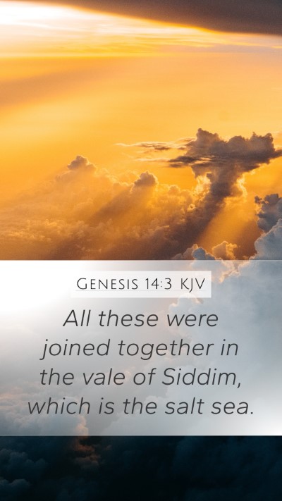 Genesis 14:3 Explained