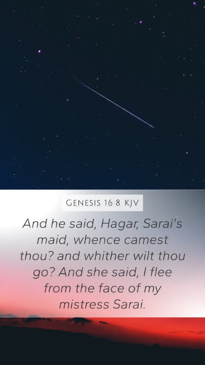 Genesis 16:8 Explained