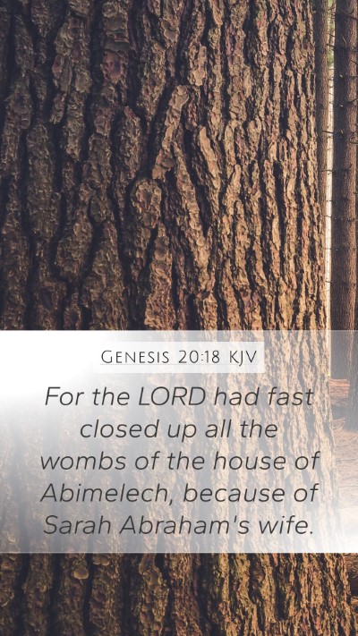 Genesis 20:18 Explained