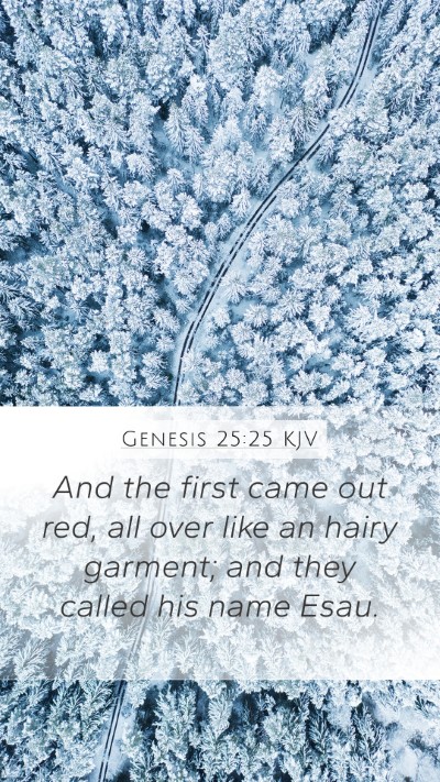 Genesis 25:25 Explained