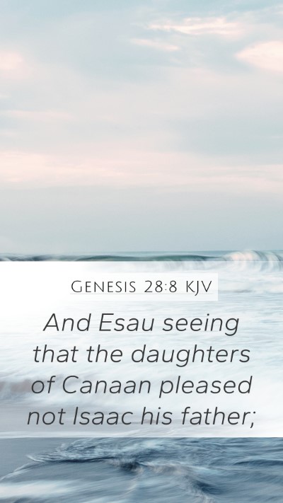 Genesis 28:8 Explained