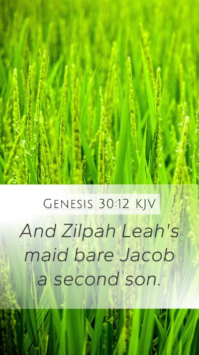 Genesis 30:12 Explained