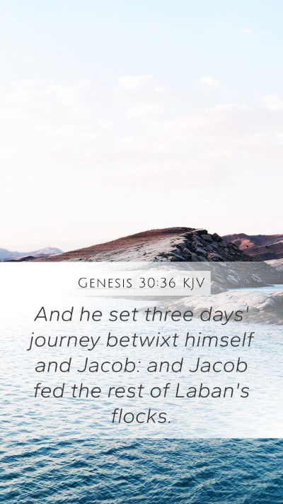 Genesis 30:36 Explained