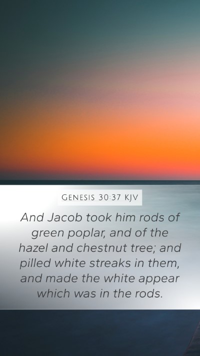 Genesis 30:37 Explained