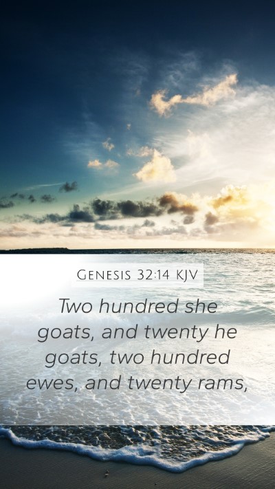 Genesis 32:14 Explained