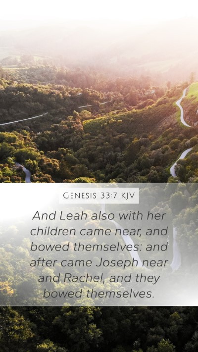 Genesis 33:7 Explained