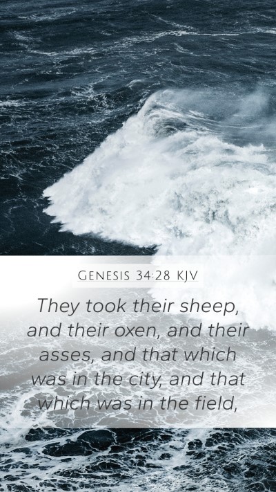 Genesis 34:28 Explained