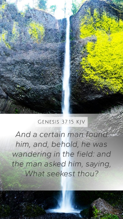 Genesis 37:15 Explained