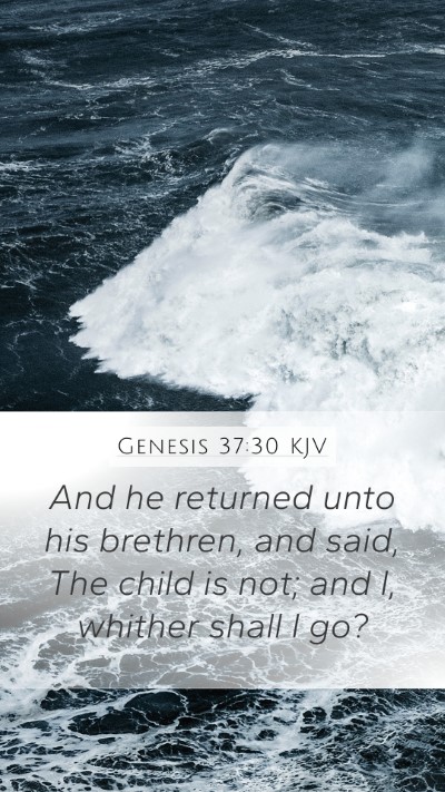 Genesis 37:30 Explained