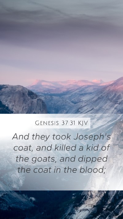 Genesis 37:31 Explained