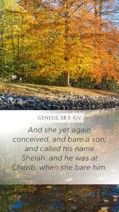 Genesis 38:5 Explained