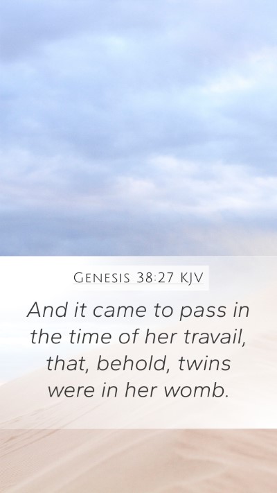 Genesis 38:27 Explained