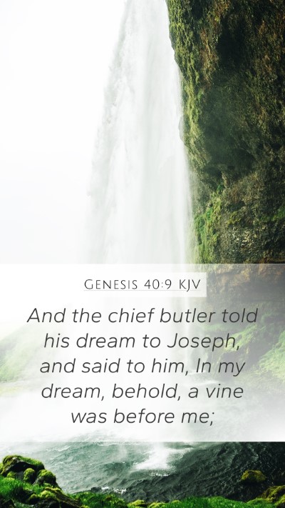 Genesis 40:9 Explained