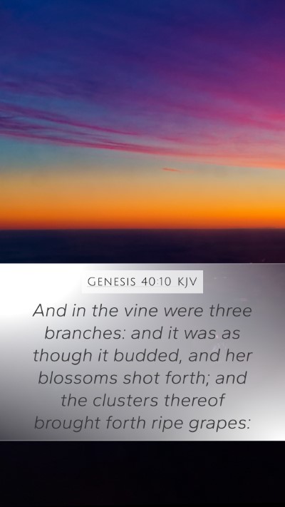 Genesis 40:10 Explained