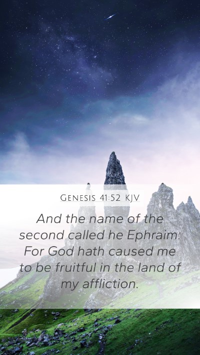 Genesis 41:52 Explained