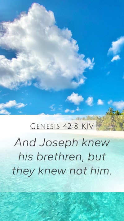 Genesis 42:8 Explained