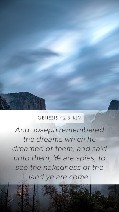 Genesis 42:9 Explained