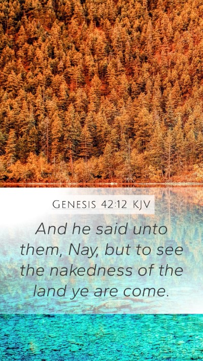 Genesis 42:12 Explained