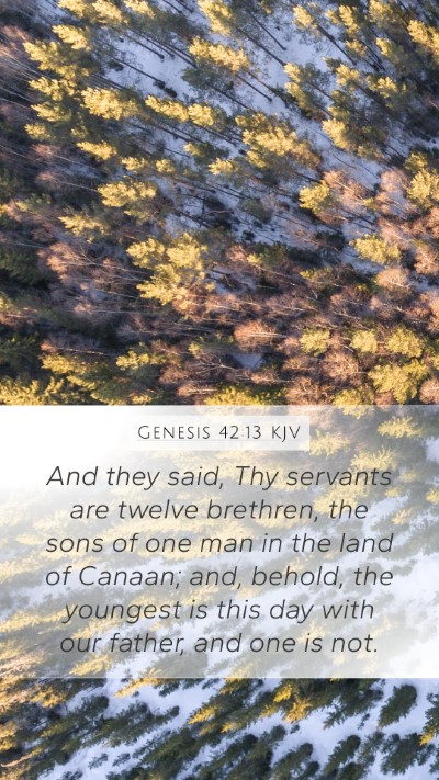 Genesis 42:13 Explained