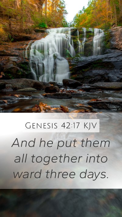 Genesis 42:17 Explained