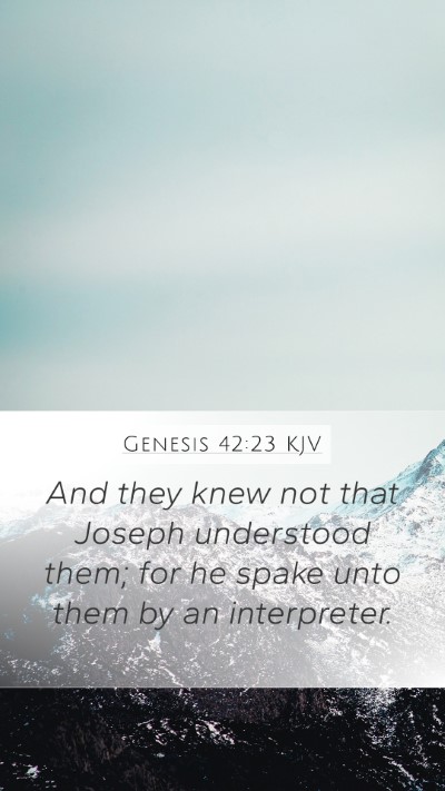 Genesis 42:23 Explained