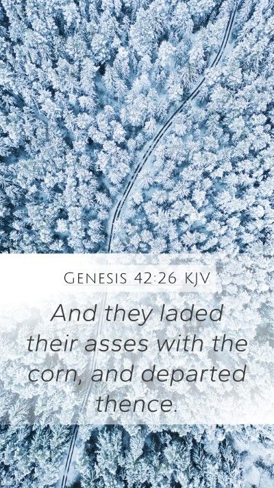 Genesis 42:26 Explained