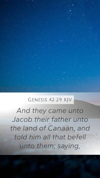 Genesis 42:29 Explained