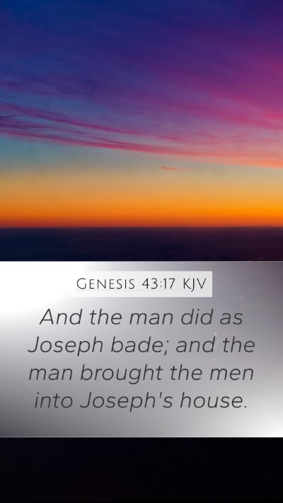 Genesis 43:17 Explained