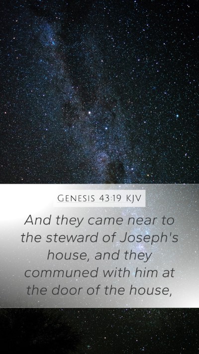 Genesis 43:19 Explained