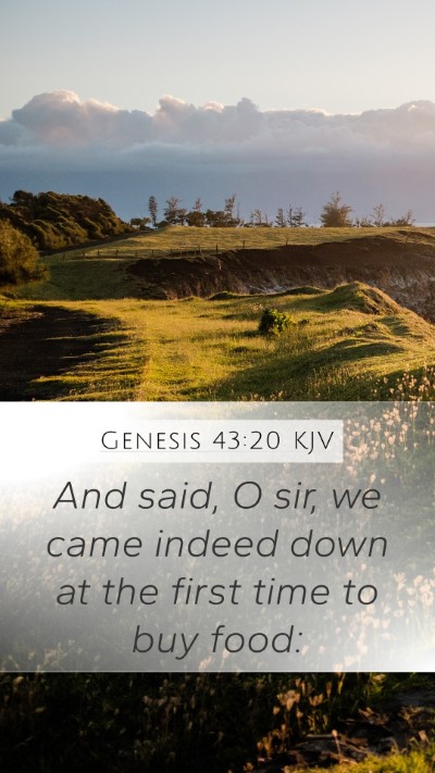 Genesis 43:20 Explained