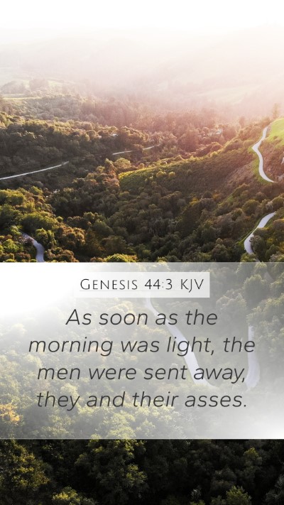 Genesis 44:3 Explained