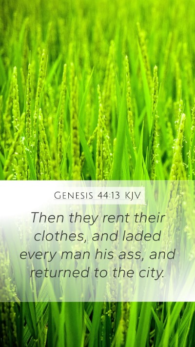 Genesis 44:13 Explained