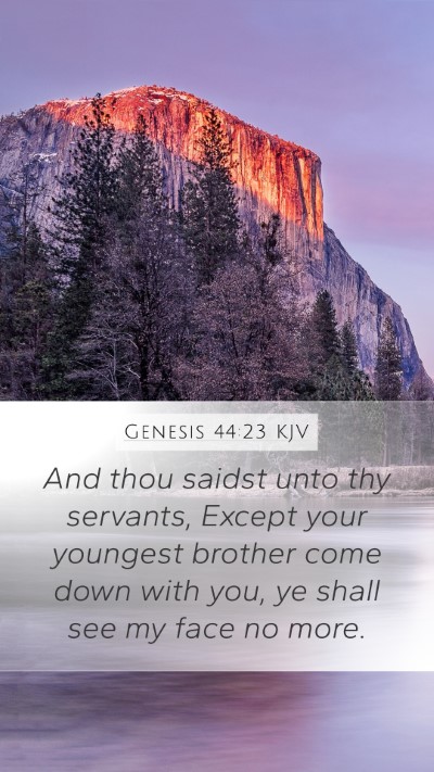 Genesis 44:23 Explained