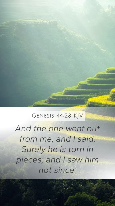 Genesis 44:28 Explained